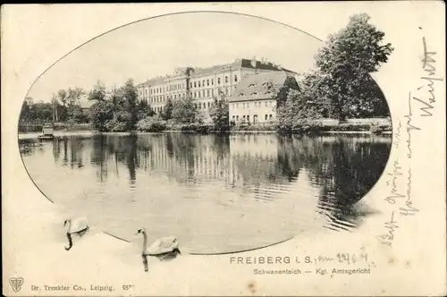 Ak Freiberg in Sachsen, Schwanenteich, Kgl. Amtsgericht