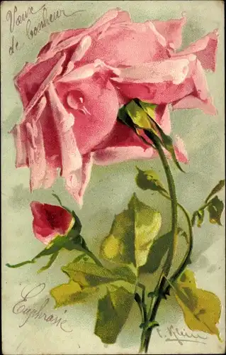Künstler Litho Klein, Catharina, Rote Rose, Tautropfen