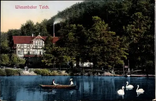 Ak Wiesenbek Bad Lauterberg im Harz, Wiesenbeker Teich, Schwäne