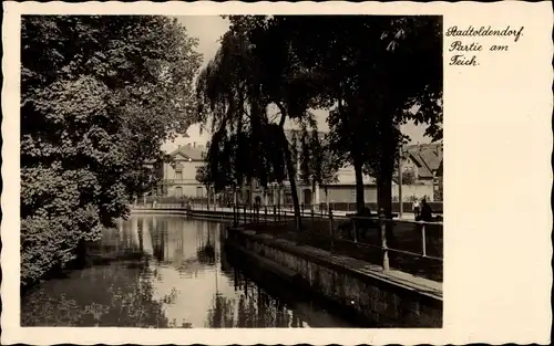 Ak Stadtoldendorf in Niedersachsen, Partie am Teich