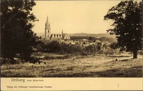 Ak Bad Driburg, Blick vom Alserbett aus, Kirche, Ort