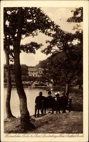 Ak Wiesenbek Bad Lauterberg im Harz, Wiesenbeker Teich