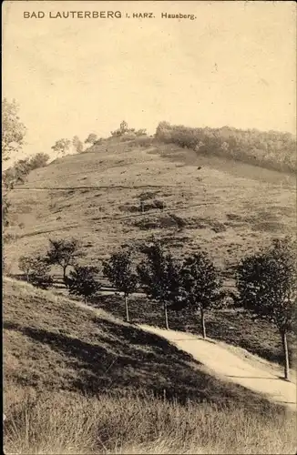 Ak Bad Lauterberg im Harz, Hausberg