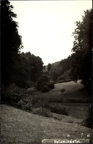 Ak Holzminden an der Weser, Teilansicht