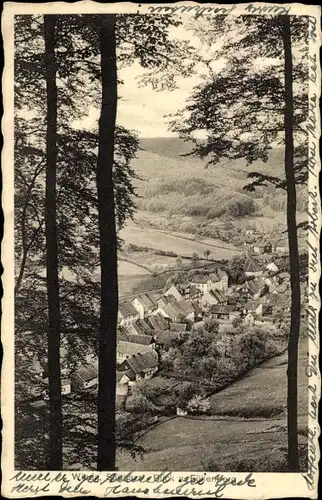 Ak Wieda Walkenried Harz, Gesamtansicht, Waldpartie, Füllenberg