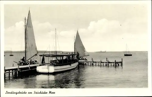 Ak Steinhude Wunstorf in Niedersachsen, Landungsbrücke, Segelboote