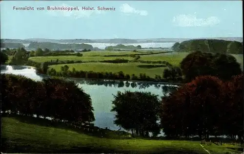 Ak Bruhnskoppel Malente in Ostholstein, Panorama