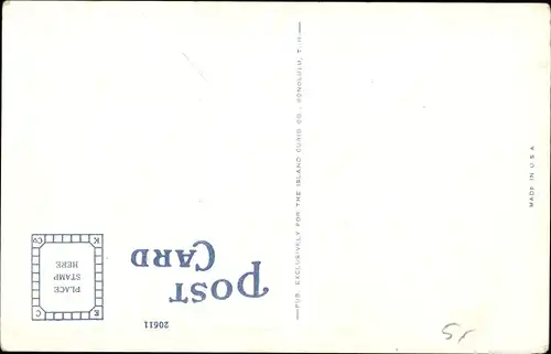 Ak Hawaii USA, Papaya Fruit Tree, Früchte am Baum