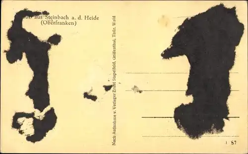 Ak Steinbach an der Haide Ludwigsstadt in Oberfranken, Teilansicht, Kirche