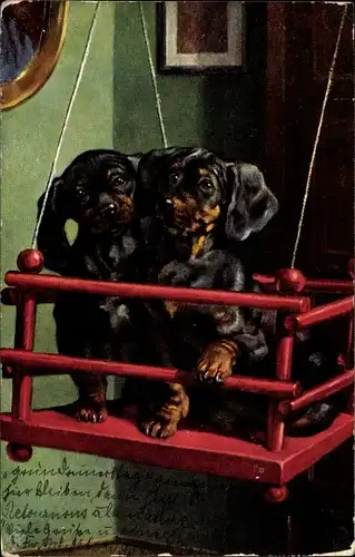 Künstler Ak Zwei Dackel in einer Schaukel