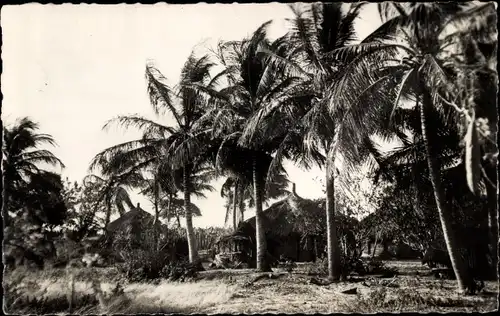 Ak Senegal, Cases sous les Cocotiers