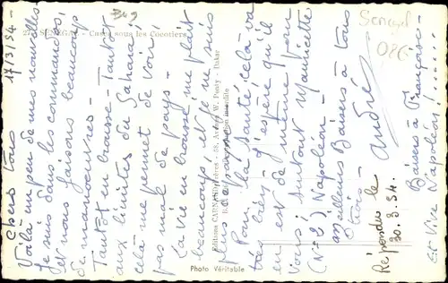 Ak Senegal, Cases sous les Cocotiers