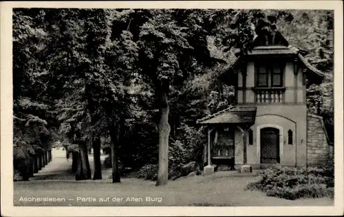 Ak Aschersleben im Salzlandkreis, Partie auf der Alten Burg