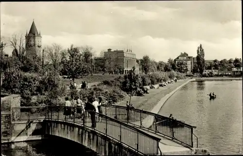 Ak Merseburg an der Saale, Gotthardsteich, Brücke, Ruderboote