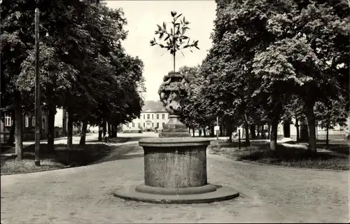 Ak Oranienbaum Wörlitz in Anhalt, Markt mit dem Wahrzeichen der Stadt