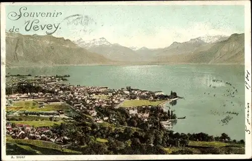Ak Vevey Kanton Waadt, Panorama