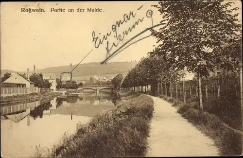 Ak Roßwein in Sachsen, Partie an der Mulde