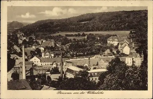 Ak Roßwein in Sachsen, Stadtpartie von der Wettinhöhe