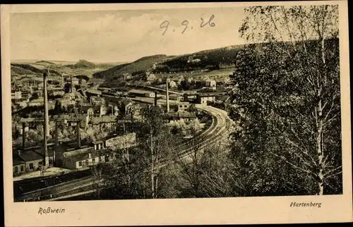 Ak Roßwein in Sachsen, Hartenberg, Panorama, Bahnanlagen