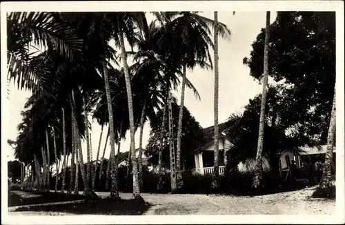 Ak Douala Kamerun, Avenue des Cocotiers, Palmenallee, Wohnhäuser