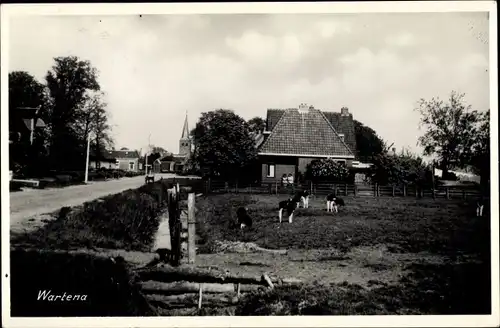 Ak Wartena Friesland Niederlande, Dorfpartie