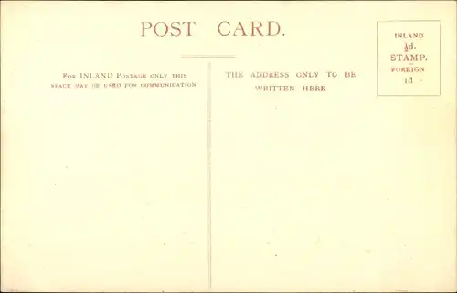 Ak Ely East of England, Cathedral, from Gallery