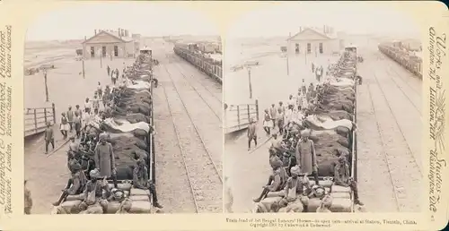 Stereo Foto Tientsin China, Train load of 1st Bengal Lancers' Horses