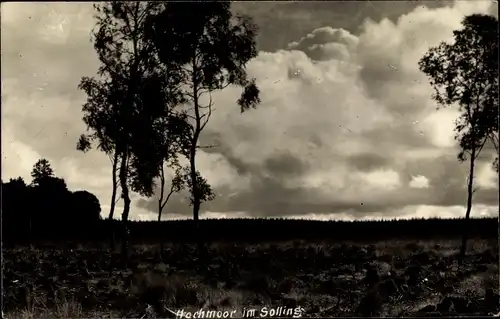 Foto Ak Silberborn Holzminden, Hochmoor im Solling, Panorama