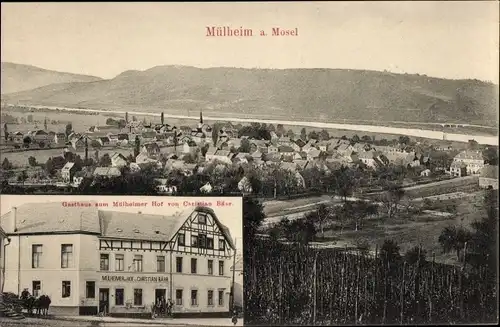 Ak Mülheim an der Mosel, Gesamtansicht, Gasthaus zum Mülheimer Hof