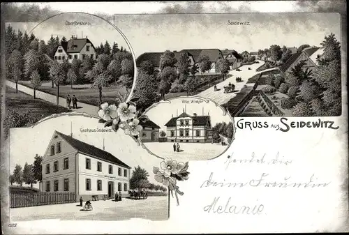 Litho Seidewitz Böhlen Grimma in Sachsen, Oberförsterei, Gasthaus, Villa Winkler