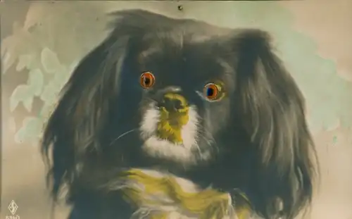 Ak Hundeportrait, eingesetze Augen, Pekingese