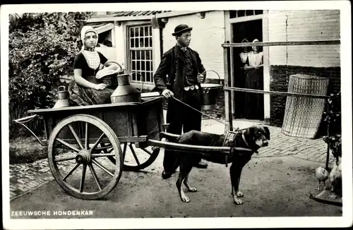 Ak Zeeland, Zeeuwsche Hondenkar, Hundekarren, Milchmädchen, Zughund