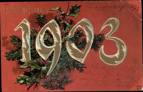 Präge Litho Glückwunsch Neujahr, Jahreszahl 1903, Stechpalmenzweige