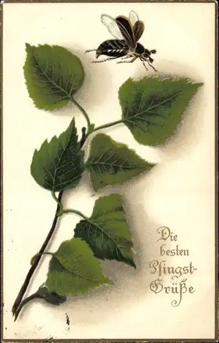 Ak Glückwunsch Pfingsten, Zweig und Maikäfer