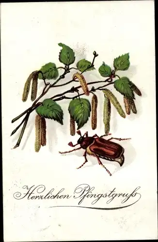 Ak Glückwunsch Pfingsten, Maikäfer und Zweige