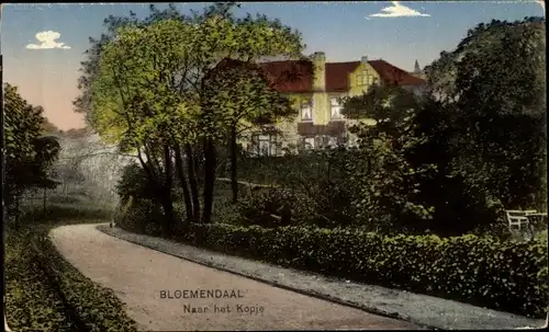 Ak Bloemendaal Nordholland Niederlande, Naar het Kopje