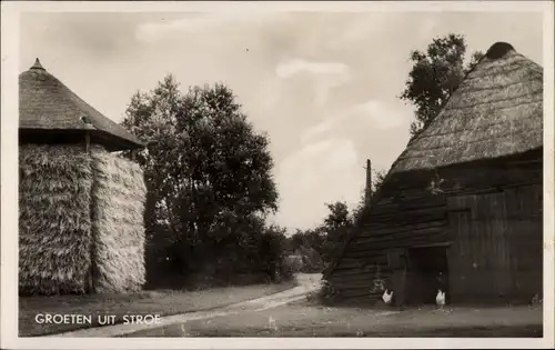 Ak Stroe Gelderland, Gebäude, Hühner