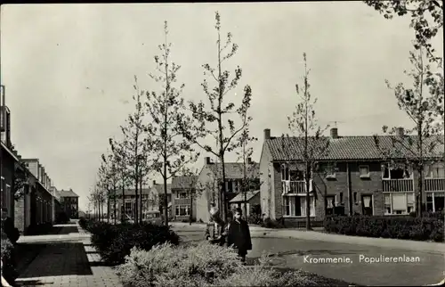Ak Krommenie Zaanstad Nordholland Niederlande, Populierenlaan