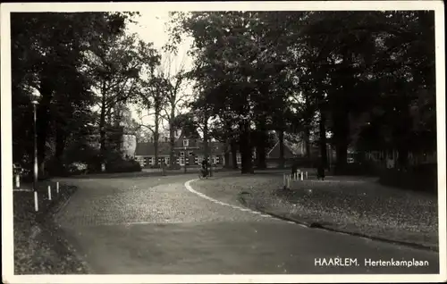 Ak Haarlem Nordholland Niederlande, Hertenkamplaan