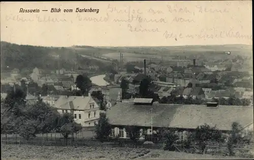 Ak Roßwein in Sachsen, Blick vom Hartenberg