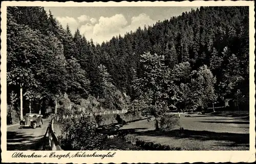 Ak Olbernhau im Erzgebirge, Natzschungtal
