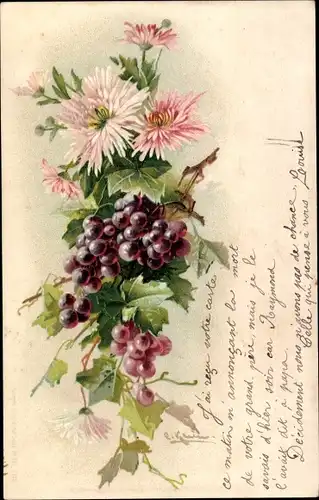 Präge Künstler Litho Klein, C., Weintrauben und Blumen