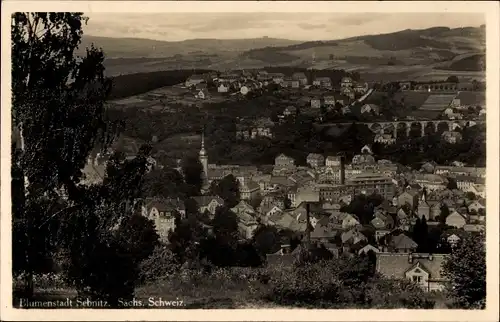 Ak Sebnitz Sächsische Schweiz, Panorama, Viadukt