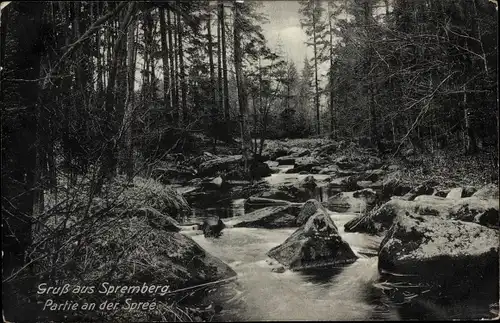 Ak Neusalza Spremberg in der Lausitz, Partie an der Spree, Felsen, Wald