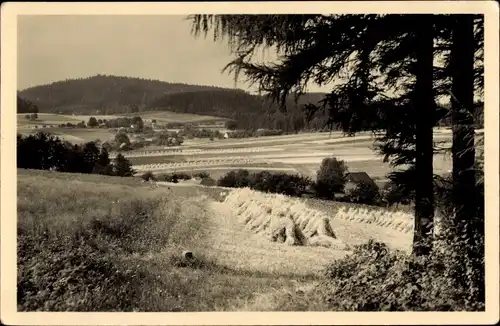 Ak Oppach in der Oberlausitz, Panorama, Felder