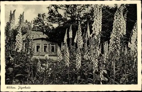 Ak Wilthen in der Oberlausitz, Mönchswalder Berg, Waldhaus Jägerhaus