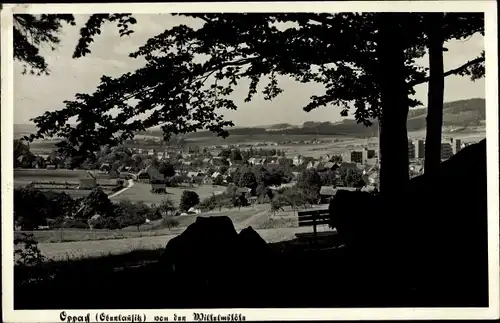 Ak Oppach in der Oberlausitz, Panorama von der Wilhelmshöhe aus