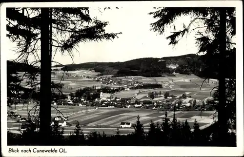 Ak Cunewalde in der Oberlausitz, Panorama