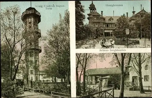 Ak Löbau in Sachsen, Löbauer Berg, König Friedrich August-Turm, Honigbrunnen, Älteres Berghäuschen