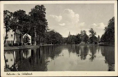 Ak Pulsnitz in Sachsen, Schlossteich